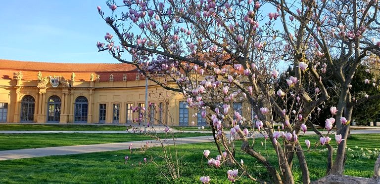 Vorsitz des Prüfungsausschusses der JUP